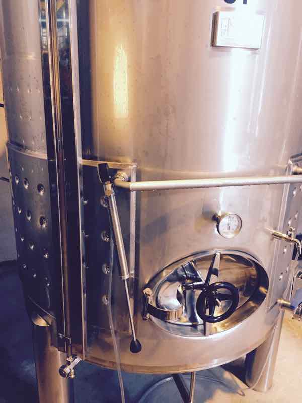 vendimia-vinoblanco-3